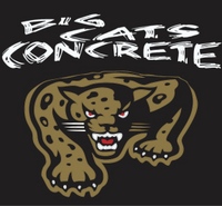 Big Cats Logo.jpg